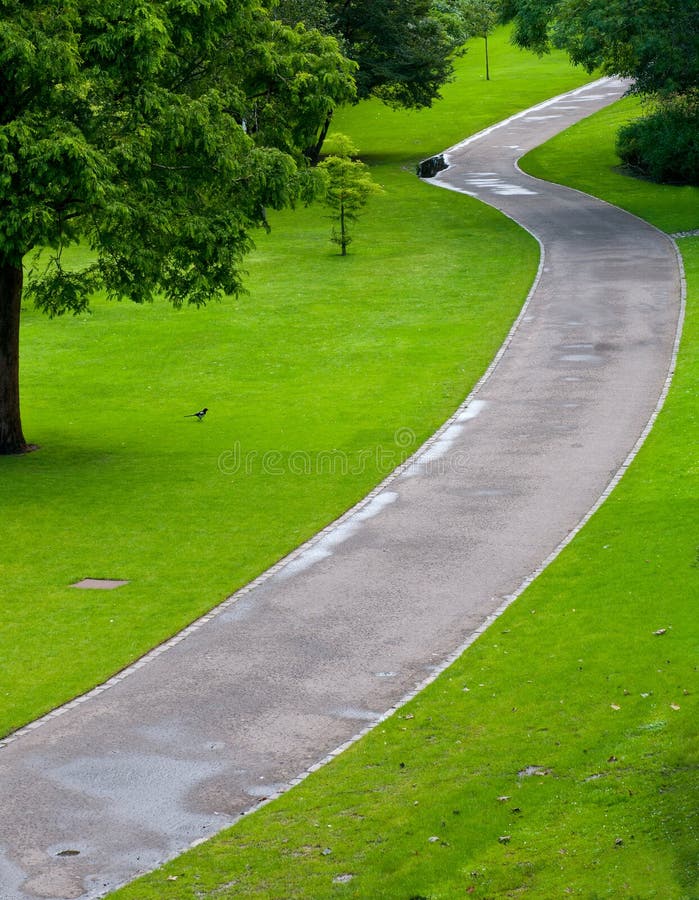 Empty park Pedestrian Walkway road