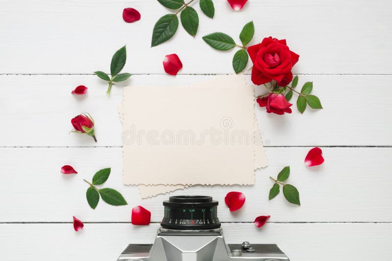 Empty photo frame for inside, retro camera and rose flowers