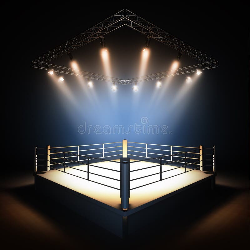 Wrestling Ring Photography Backdrop, Boxing, Mat, Wrestler, Impact, Mixed  Martial Arts, MMA, Match, Light Heavy Feather Weight, Cake Smash,