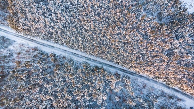 Empty road in winter woods, aerial top down view royalty free stock photos Empty road in winter woods, aerial top down view royalty free stock photos