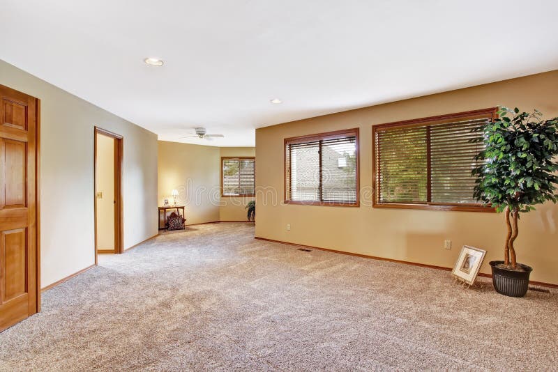 Empty Room in Luxury House Decorated with Fake Tree Stock Image Image