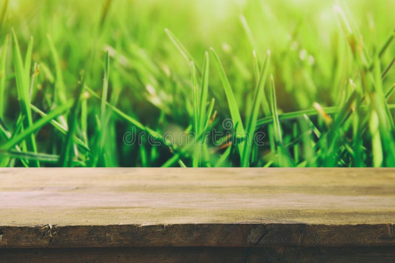 Empty rustic table in front of fresh grass. Empty rustic table in front of low angle view of fresh grass. product display and picnic concept