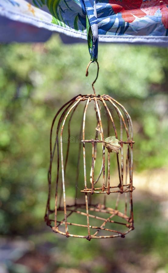 Empty Rusty Vintage Bird Cage Stock Photo Image of outdoors, bird 191319772