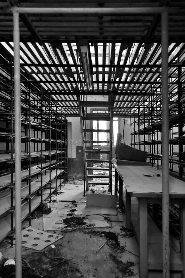 Empty shelves in storage room