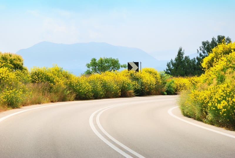 Empty tarmac road with yellow flowers royalty free stock image Empty tarmac road with yellow flowers royalty free stock image