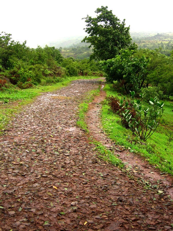 Muddy Village Road stock photo. Image of road, seasonal 4931250
