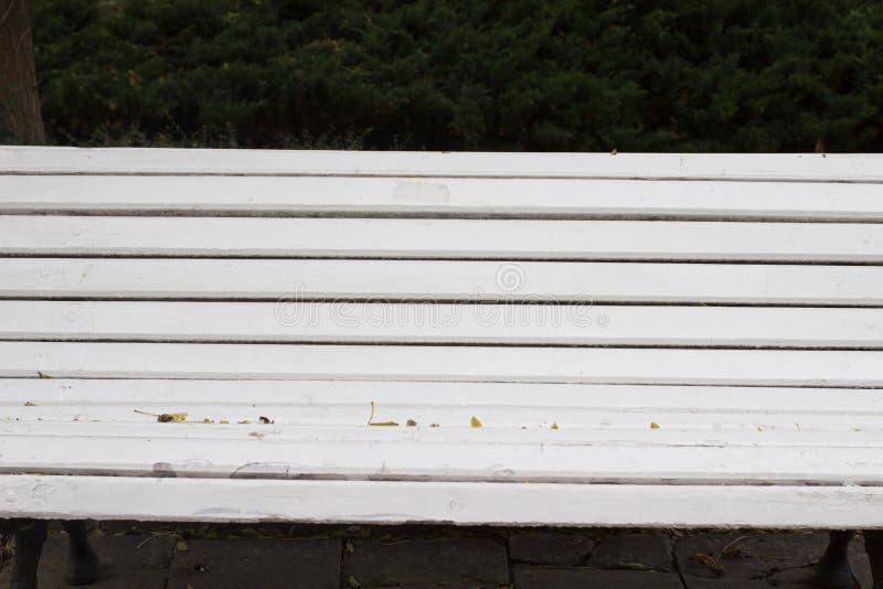 Empty white bench on an autumn scenery park