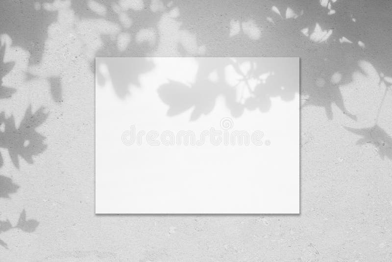 Download Empty White Horizontal Rectangle Poster Mockup With Leaves Shadows Stock Image Image Of Mock Concrete 155286169