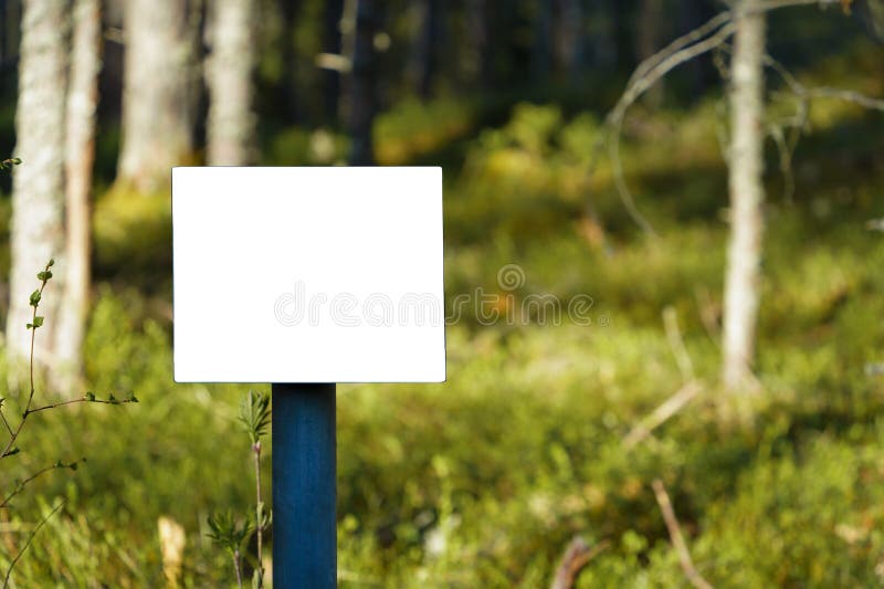 Empty white sign in forest royalty free stock photo