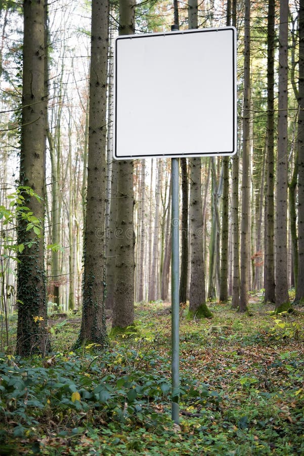 Empty white sign in forest