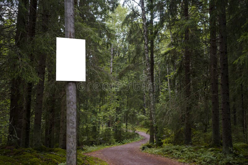Empty white sign next to a gravel path in a forest stock photos