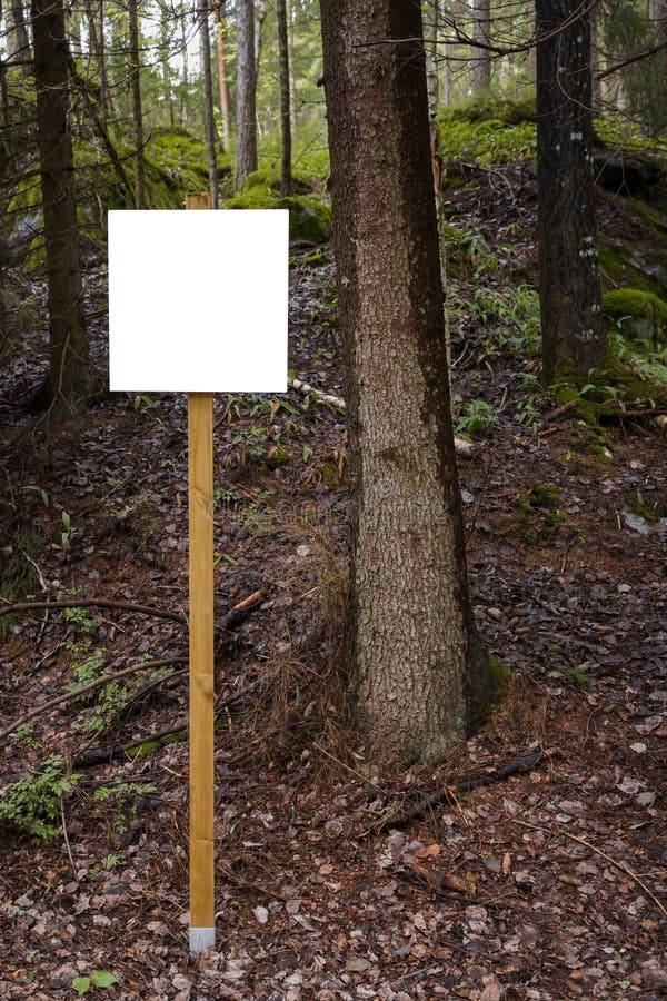 Empty white sign in a forest royalty free stock photo