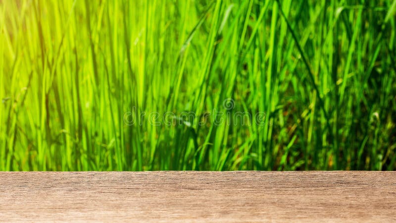Empty wood table top on blur abstract green from garden royalty free stock photography Empty wood table top on blur abstract green from garden royalty free stock photography
