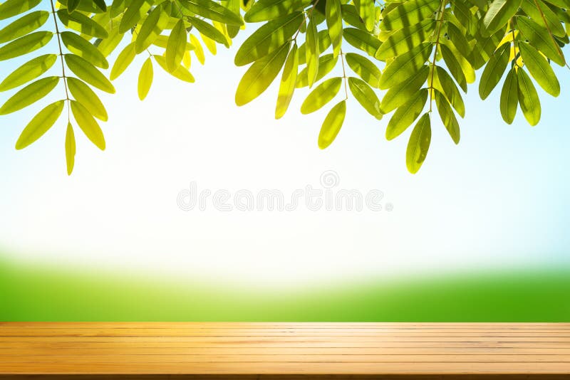 Empty wood table top on blur abstract green from garden house on stock images Empty wood table top on blur abstract green from garden house on stock images