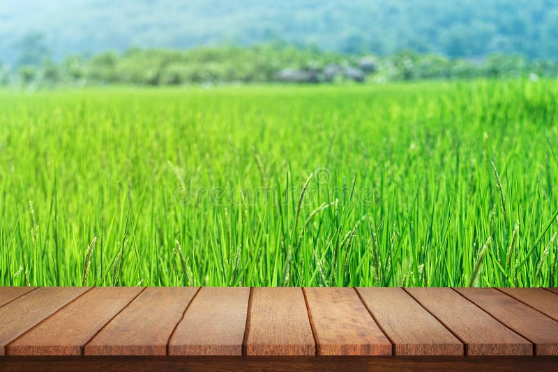 Empty Wood Table Top on Blur Abstract Green from Paddy Field Background  Stock Photo - Image of landscape, meadow: 168352032