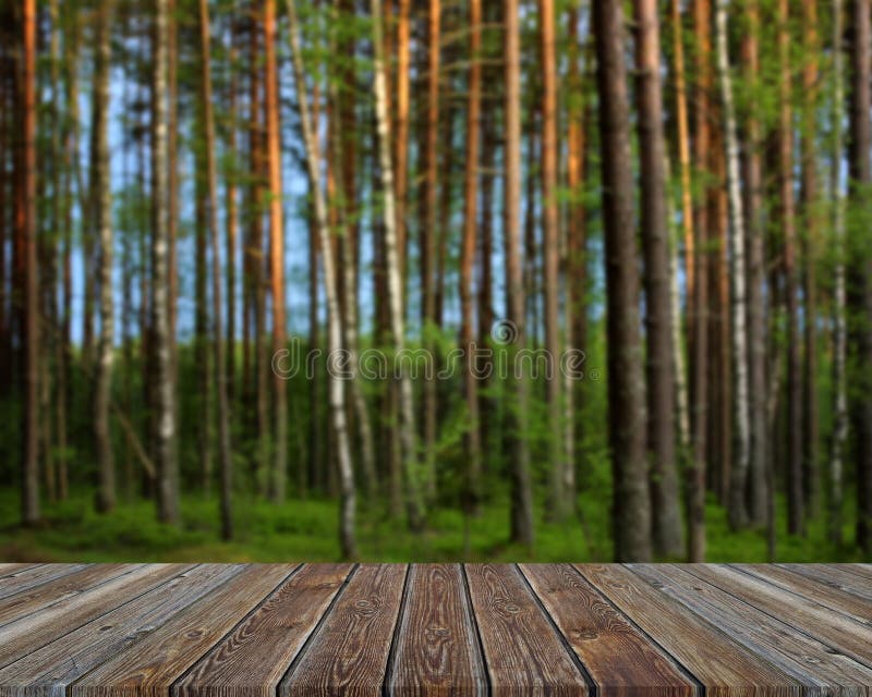 Empty Wooden Flooring on Blurry Forest Background Stock Photo - Image of  counter, nature: 195104162