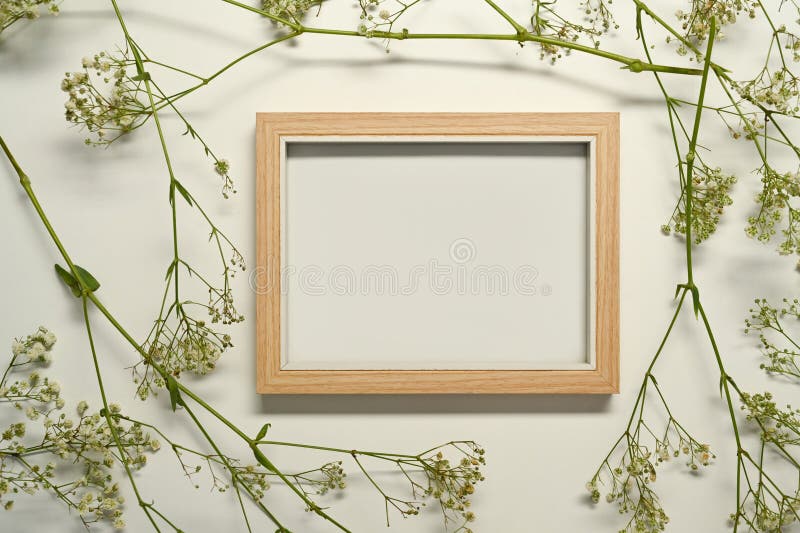 446 Dried Baby Breath Stock Photos - Free & Royalty-Free Stock Photos from  Dreamstime