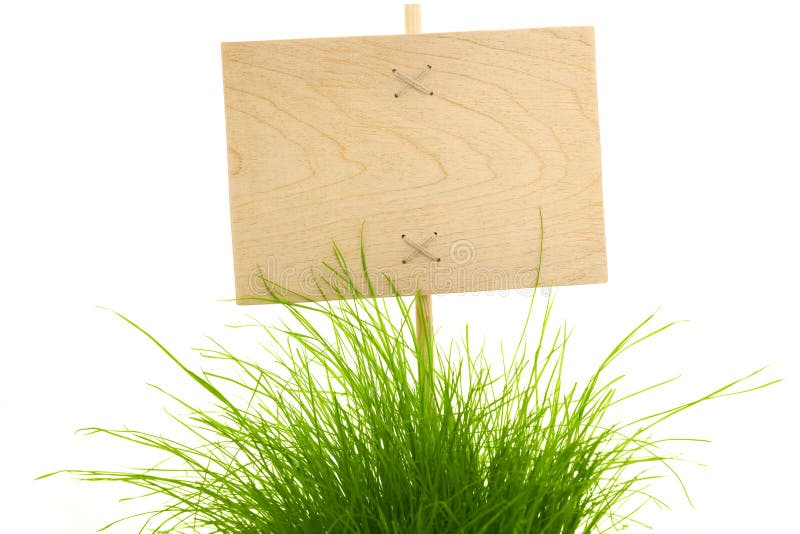 Empty wooden Sign with green Grass