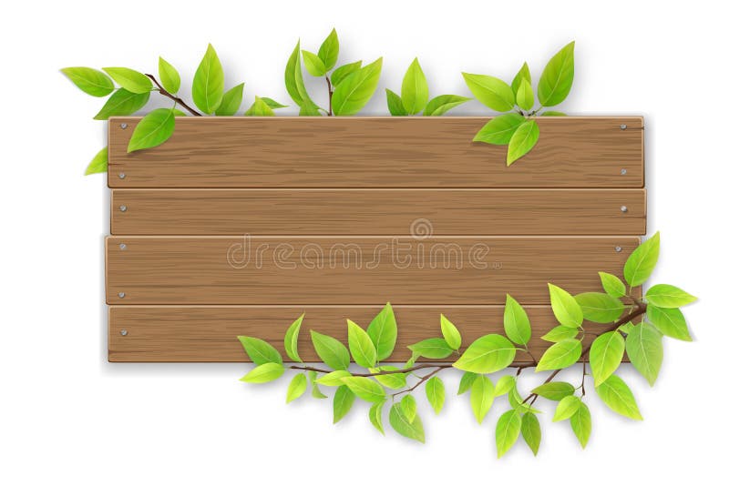 Empty wooden sign with tree branch royalty free illustration