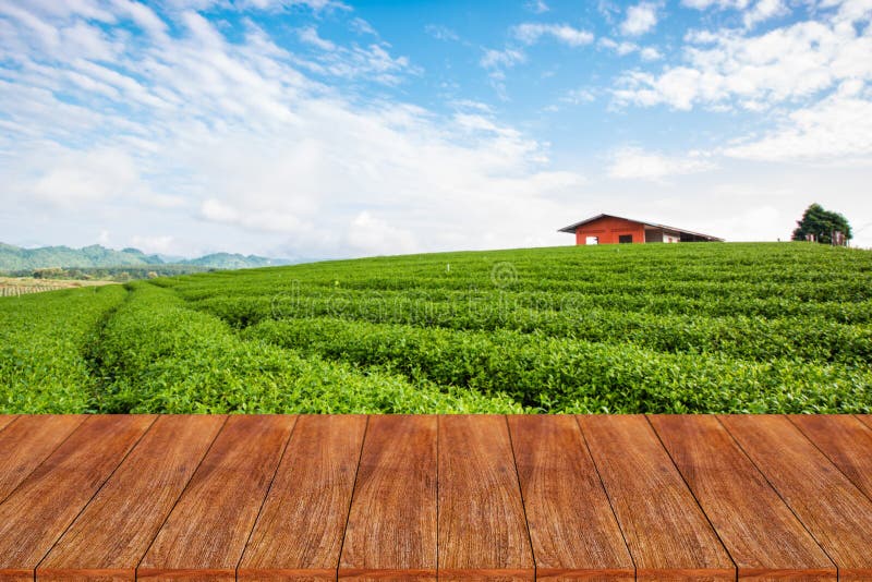 Empty Wooden Table and Blur Tea Plantation Background Stock Photo - Image  of deck, natural: 77460668