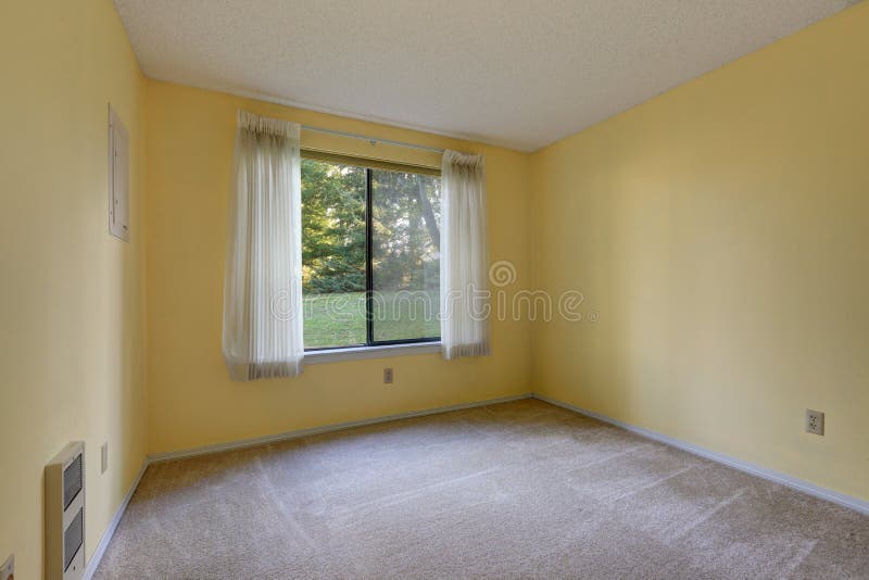 Empty yellow room with wall to wall carpet floor. stock image