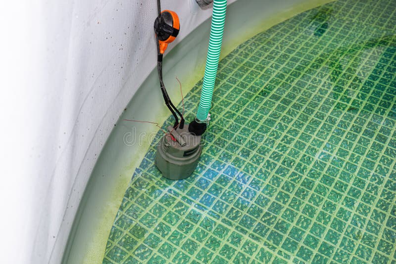 Emptying Used Water from a Garden Swimming Pool Using a Home Water Pump