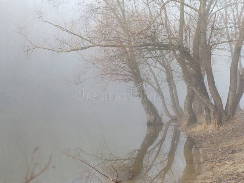 Empáñese sobre el agua en la primavera en la madrugada foto de archivo libre de regalías Empáñese sobre el agua en la primavera en la madrugada foto de archivo libre de regalías