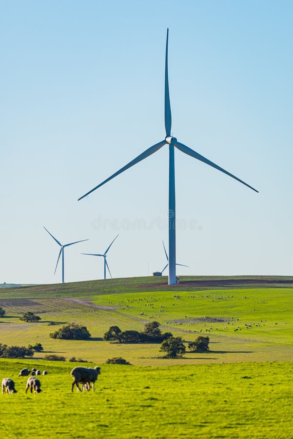 The Emu Downs Wind Farm is a 79.2 MW wind farm in Western Australia and is approximately 200 kilometres north of Perth