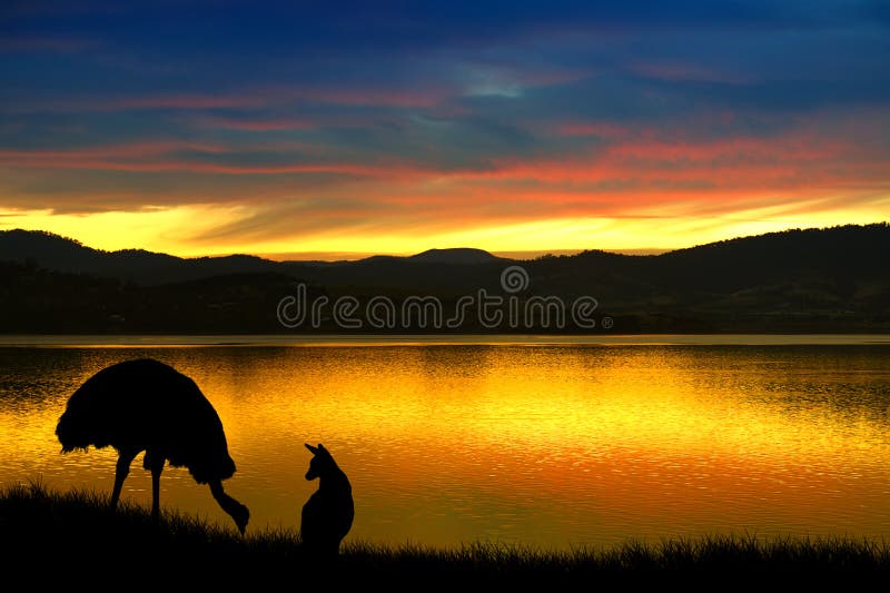 Emu och känguru i Australien royaltyfria foton Emu och känguru i Australien royaltyfria foton