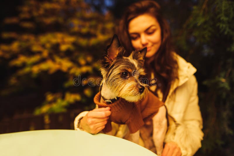 Attractive woman sitting with a little dog on the terrace in a cafe at the table, focus on the dog. Dog in the evening at a table on the terrace in a cafe. Attractive woman sitting with a little dog on the terrace in a cafe at the table, focus on the dog. Dog in the evening at a table on the terrace in a cafe