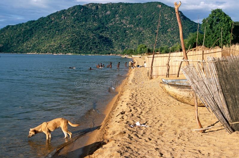 En beskåda av de sandiga kusterna av laken Malawi. arkivfoton En beskåda av de sandiga kusterna av laken Malawi. arkivfoton
