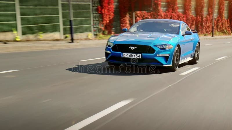 En blå fordons mustang som kör ner på gatan mitt på dagen. i akustiska bakgrundskärmar täckta med vegetation