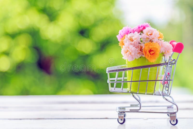 En bukett av mossa steg blommor i en kortkortgräsplanhink på trä fotografering för bildbyråer En bukett av mossa steg blommor i en kortkortgräsplanhink på trä fotografering för bildbyråer