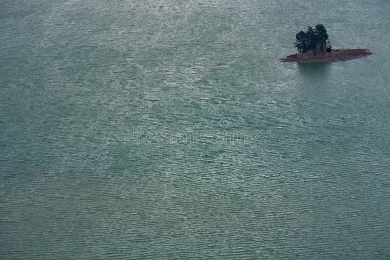 En detalj av en mycket liten ö med några träd i havet i Nya Zeeland arkivbilder En detalj av en mycket liten ö med några träd i havet i Nya Zeeland arkivbilder