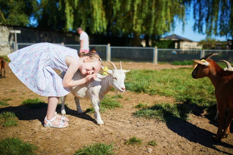 En dålig förskoleflicka som leker med små getter på en gård arkivfoto