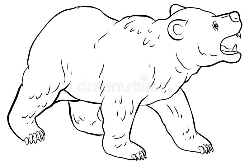 En El Mundo Animal. Imagen De Un Oso. Color De Dibujo En Blanco Y Negro. Stock de ilustración - Ilustración de salvaje, colmillo: 201192928 En El Mundo Animal. Imagen De Un Oso. Color De Dibujo En Blanco Y Negro. Stock de ilustración - Ilustración de salvaje, colmillo: 201192928