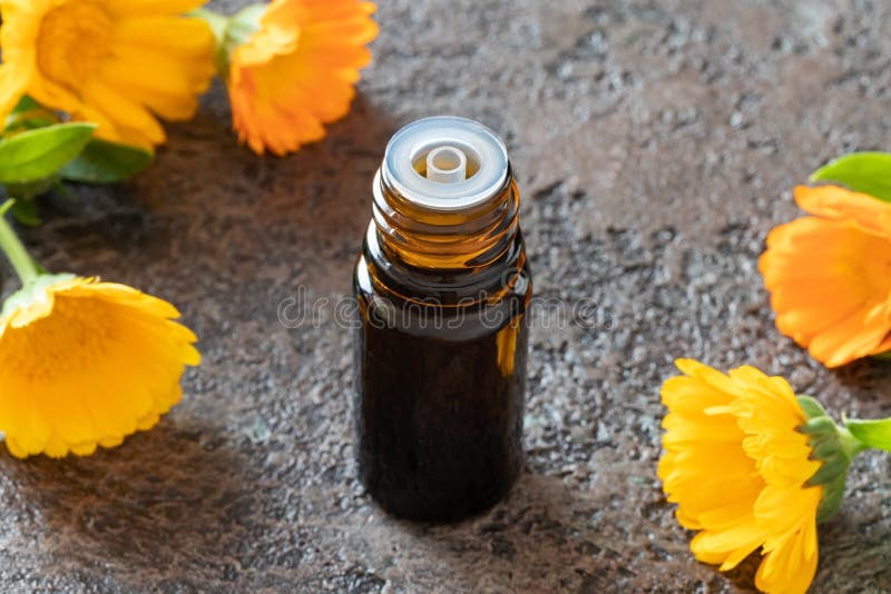 En flaska av n?dv?ndig olja f?r calendula med calendulaen blommar royaltyfri foto En flaska av n?dv?ndig olja f?r calendula med calendulaen blommar royaltyfri foto