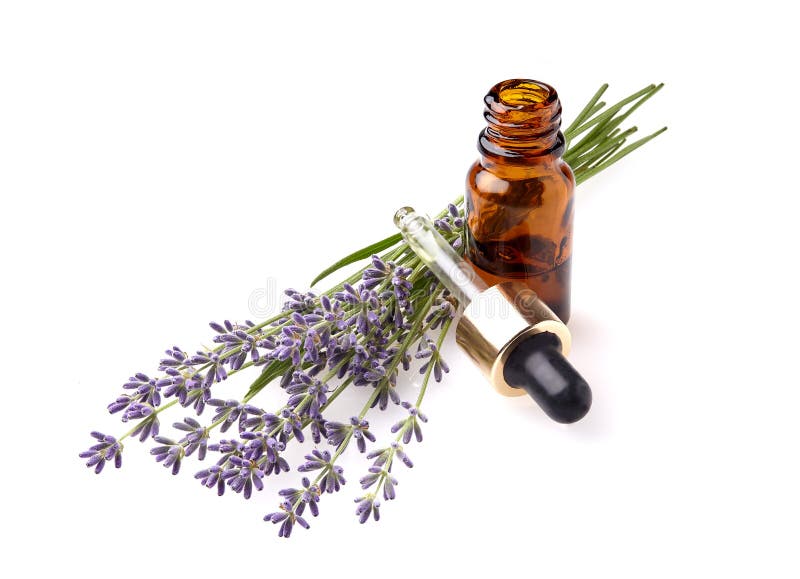 En flaska av nödvändig olja med ny blommande lavendel fattar på arkivfoto En flaska av nödvändig olja med ny blommande lavendel fattar på arkivfoto