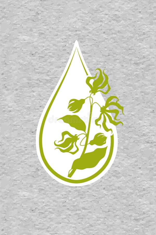 En flaska med nödvändig olja av den plana symbolen för ylang-ylang En droppe av logoen för nödvändig olja för ylangylangblomman f royaltyfri illustrationer En flaska med nödvändig olja av den plana symbolen för ylang-ylang En droppe av logoen för nödvändig olja för ylangylangblomman f royaltyfri illustrationer