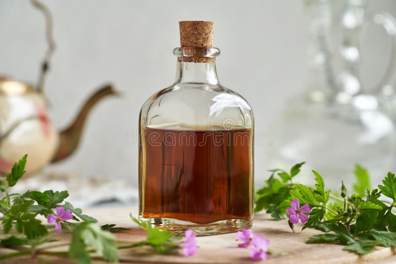 En flaska örttinktur med färska robertianumblommor av pelargonrobertianum royaltyfria bilder