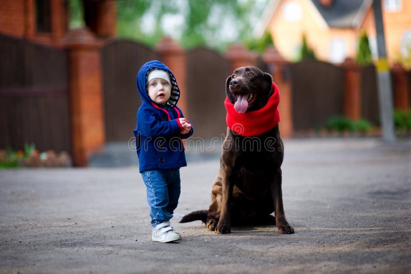 En flicka och en hund liten flicka och arbetshyllning på gården royaltyfri fotografi