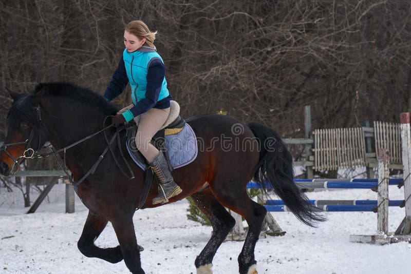 En flicka på en häst hoppar galopper En flicka utbildar att rida en häst i en liten paddock En molnig vinterdag royaltyfri foto En flicka på en häst hoppar galopper En flicka utbildar att rida en häst i en liten paddock En molnig vinterdag royaltyfri foto