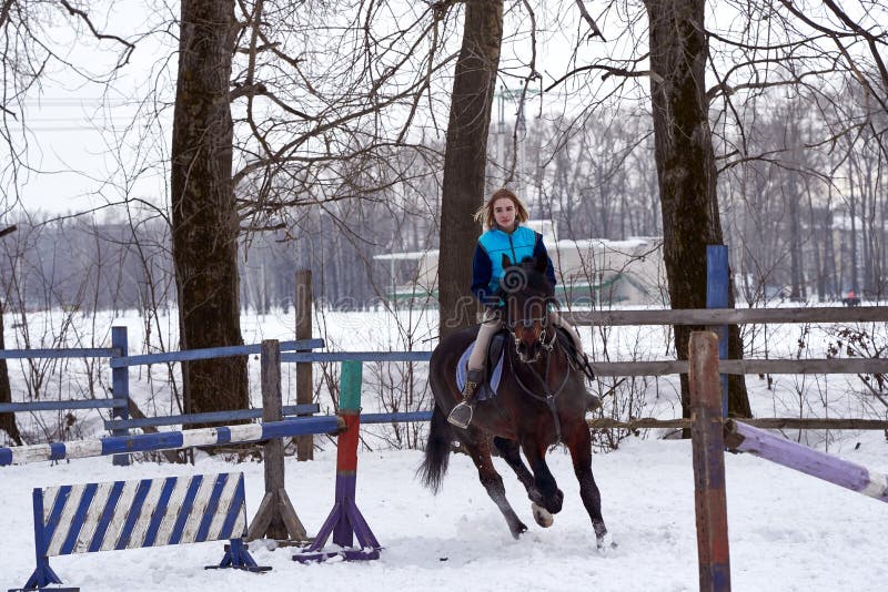 En flicka på en häst hoppar galopper En flicka utbildar att rida en häst i en liten paddock En molnig vinterdag arkivfoto En flicka på en häst hoppar galopper En flicka utbildar att rida en häst i en liten paddock En molnig vinterdag arkivfoto