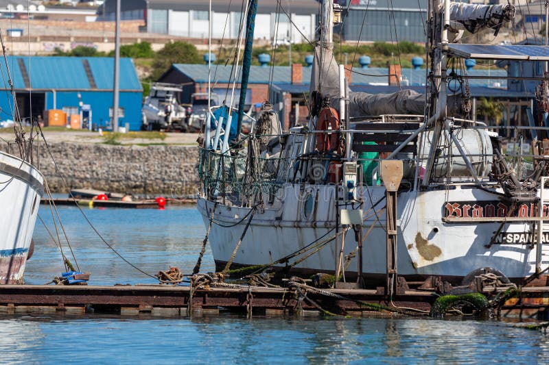 En gammal fiskebåt ankrad i hamnen i Port Elizabeth arkivfoton