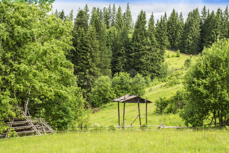 En glänta med grönt gräs och lutningarna av de Carpathian bergen som täckas med skogen royaltyfri fotografi En glänta med grönt gräs och lutningarna av de Carpathian bergen som täckas med skogen royaltyfri fotografi