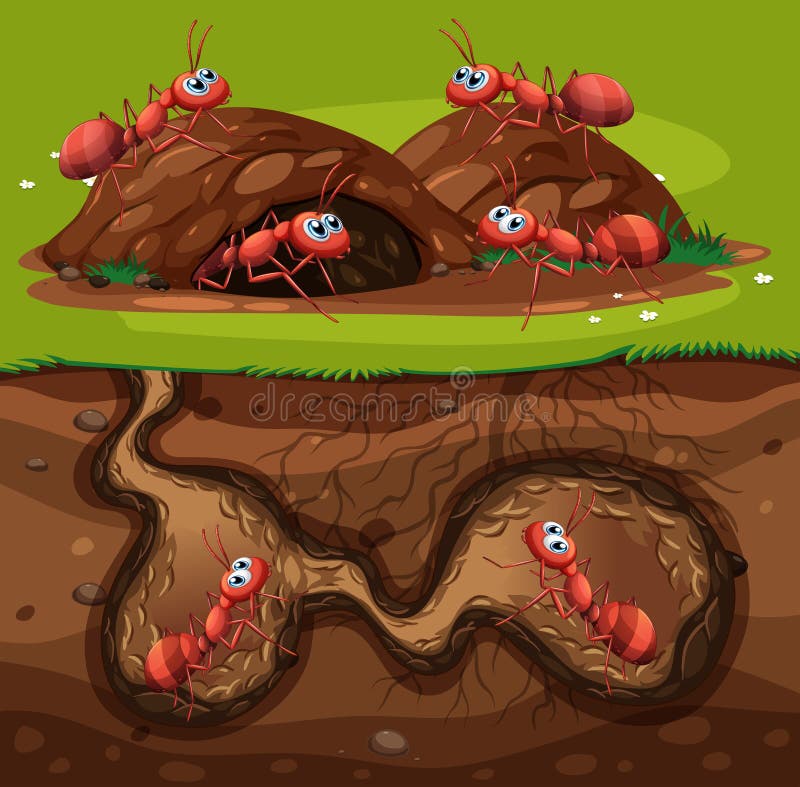 En grupp av funktionsdugliga myror i hål
