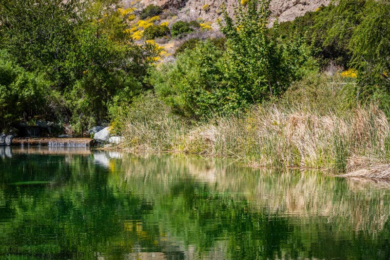 En härlig klar vattenökenoas i mitt av den Whitewater sylten i Kalifornien arkivbilder En härlig klar vattenökenoas i mitt av den Whitewater sylten i Kalifornien arkivbilder