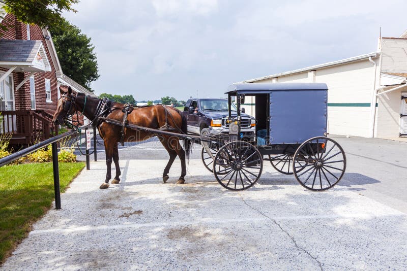 En häst som drar vagnen av amish folk, parkerar på en parkeringsplats royaltyfri foto En häst som drar vagnen av amish folk, parkerar på en parkeringsplats royaltyfri foto