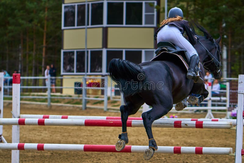 En jockey för ung kvinna på en häst utför ett hopp över barriären Konkurrenser i rid- sport