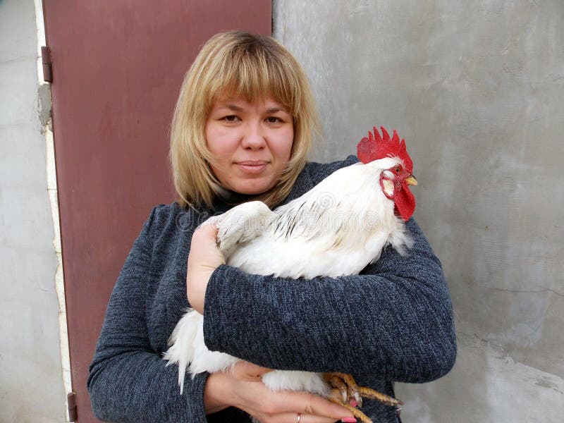En la imagen es Irina modelo que está sosteniendo un gallo hermoso, hermoso imagen de archivo En la imagen es Irina modelo que está sosteniendo un gallo hermoso, hermoso imagen de archivo